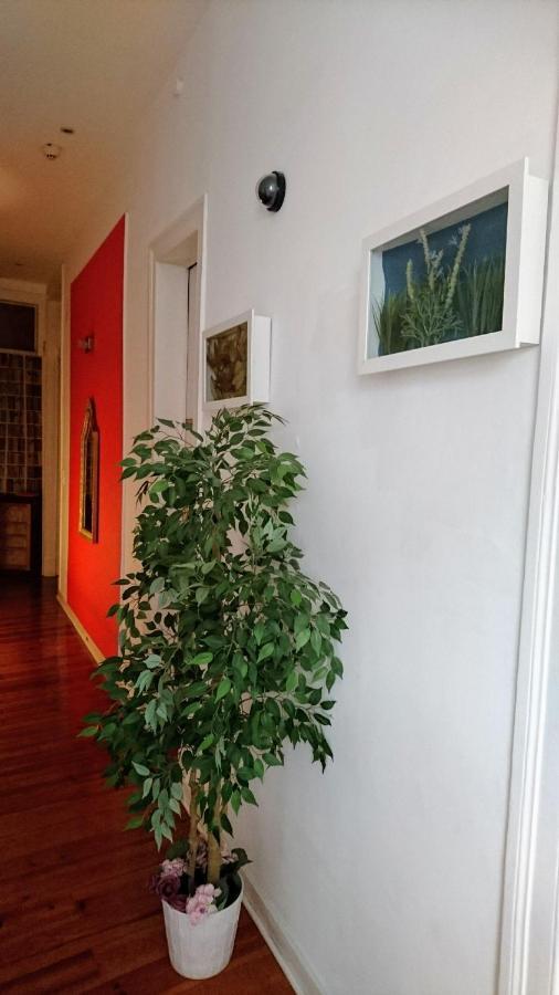 No Limit Alfama Guesthouse Lisboa Dış mekan fotoğraf